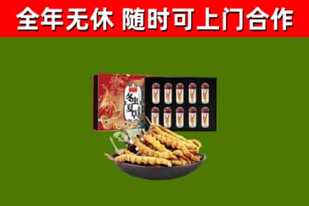 离石区回收冬虫夏草价格